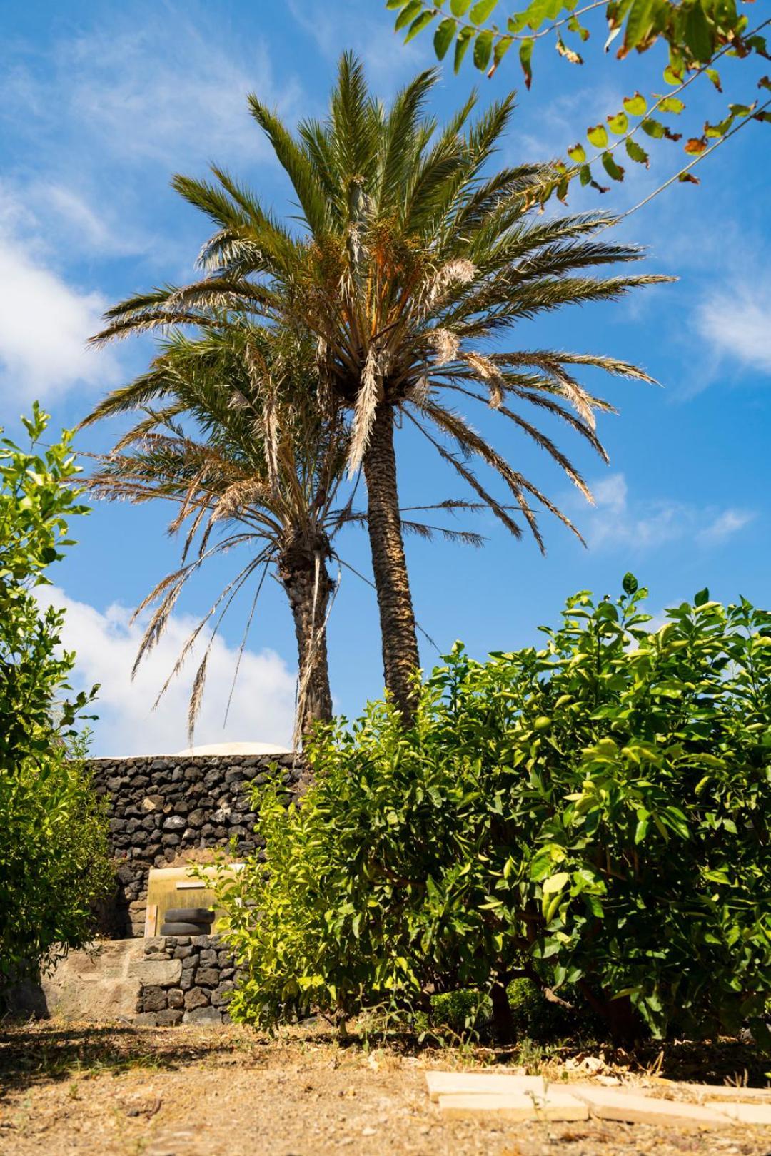 فيلا Casa Unifamiliare A Sicilia Kamma المظهر الخارجي الصورة